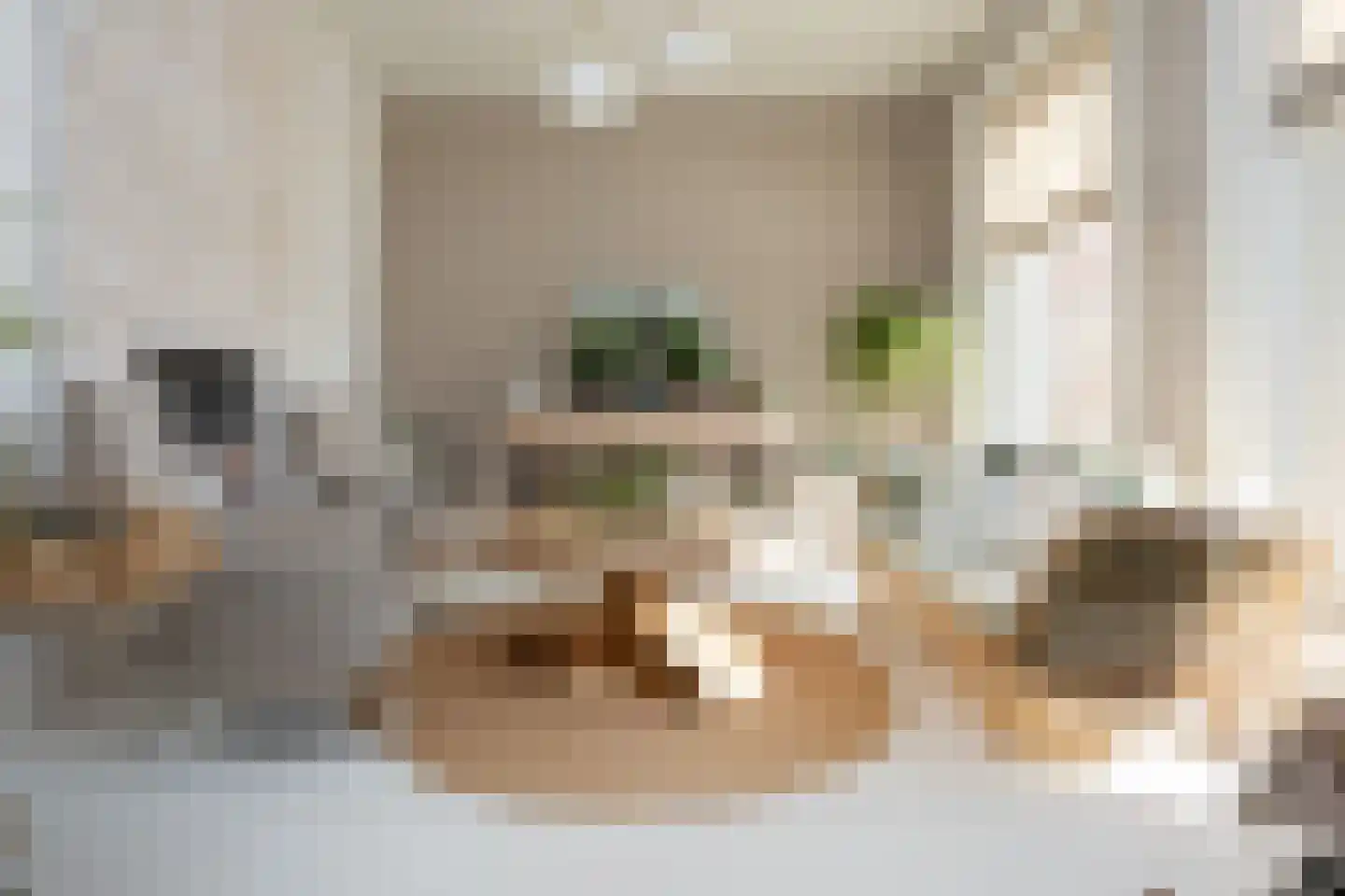 Dorpsstraat 7 Krimpen aan de Lek thumbnail 23