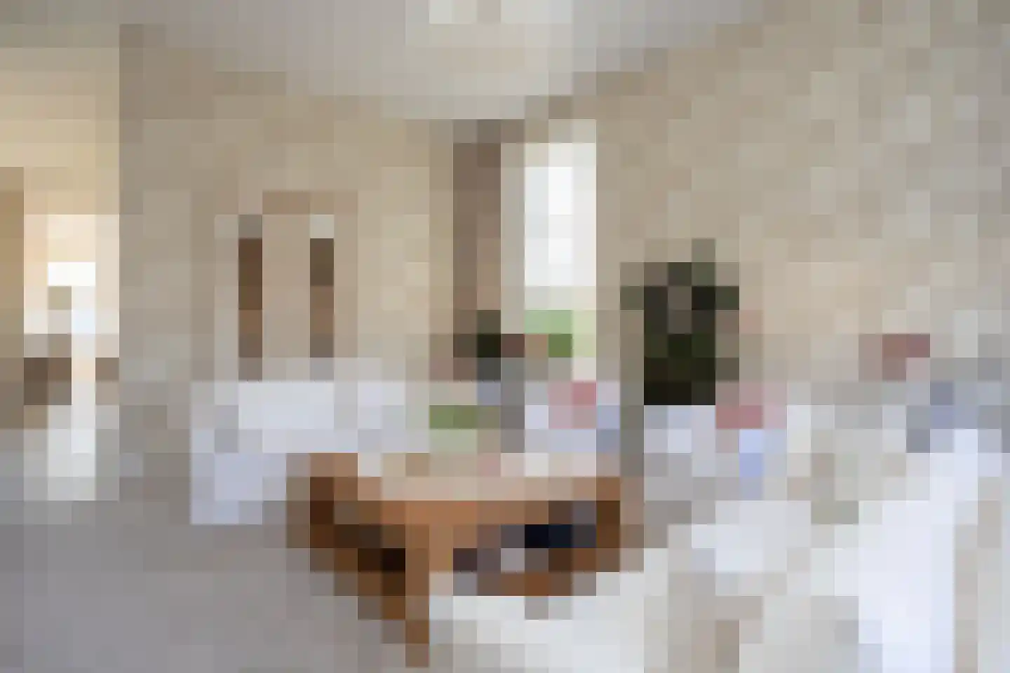 Dorpsstraat 7 Krimpen aan de Lek thumbnail 25