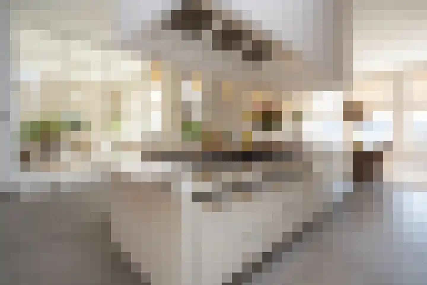 Dorpsstraat 7 Krimpen aan de Lek thumbnail 28