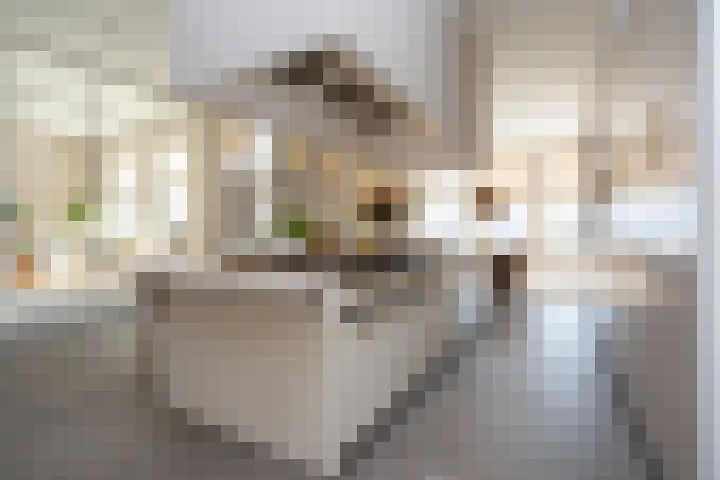 Dorpsstraat 7 Krimpen aan de Lek thumbnail 30