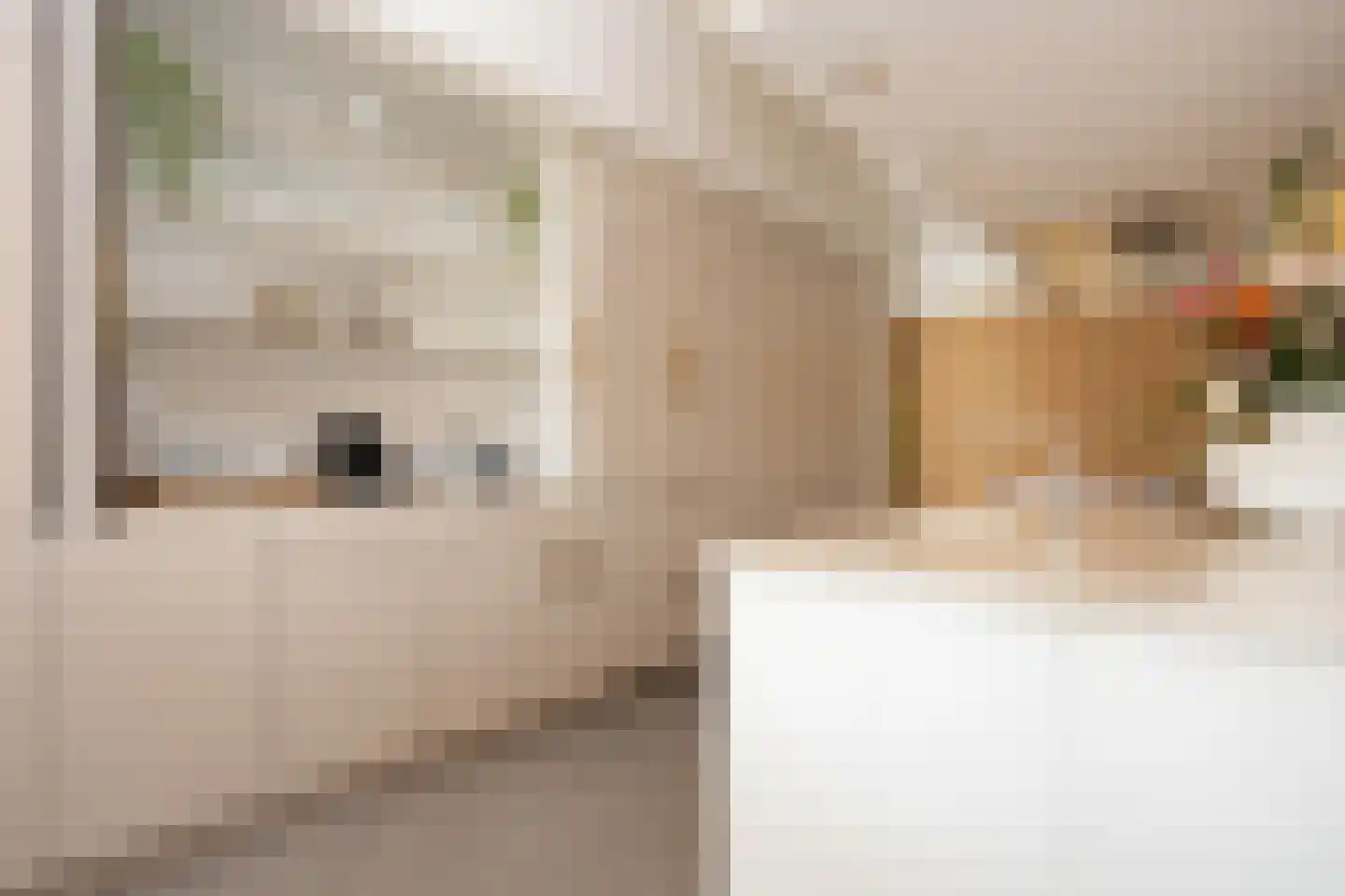 Dorpsstraat 7 Krimpen aan de Lek thumbnail 31