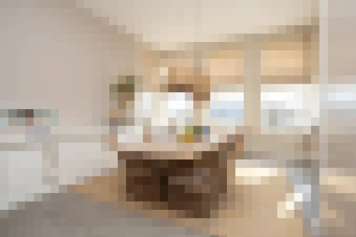 Dorpsstraat 7 Krimpen aan de Lek thumbnail 32