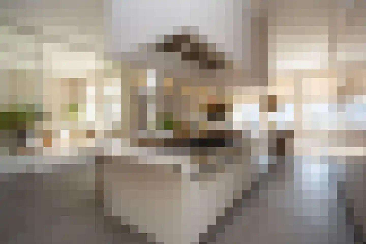 Dorpsstraat 7 Krimpen aan de Lek thumbnail 34
