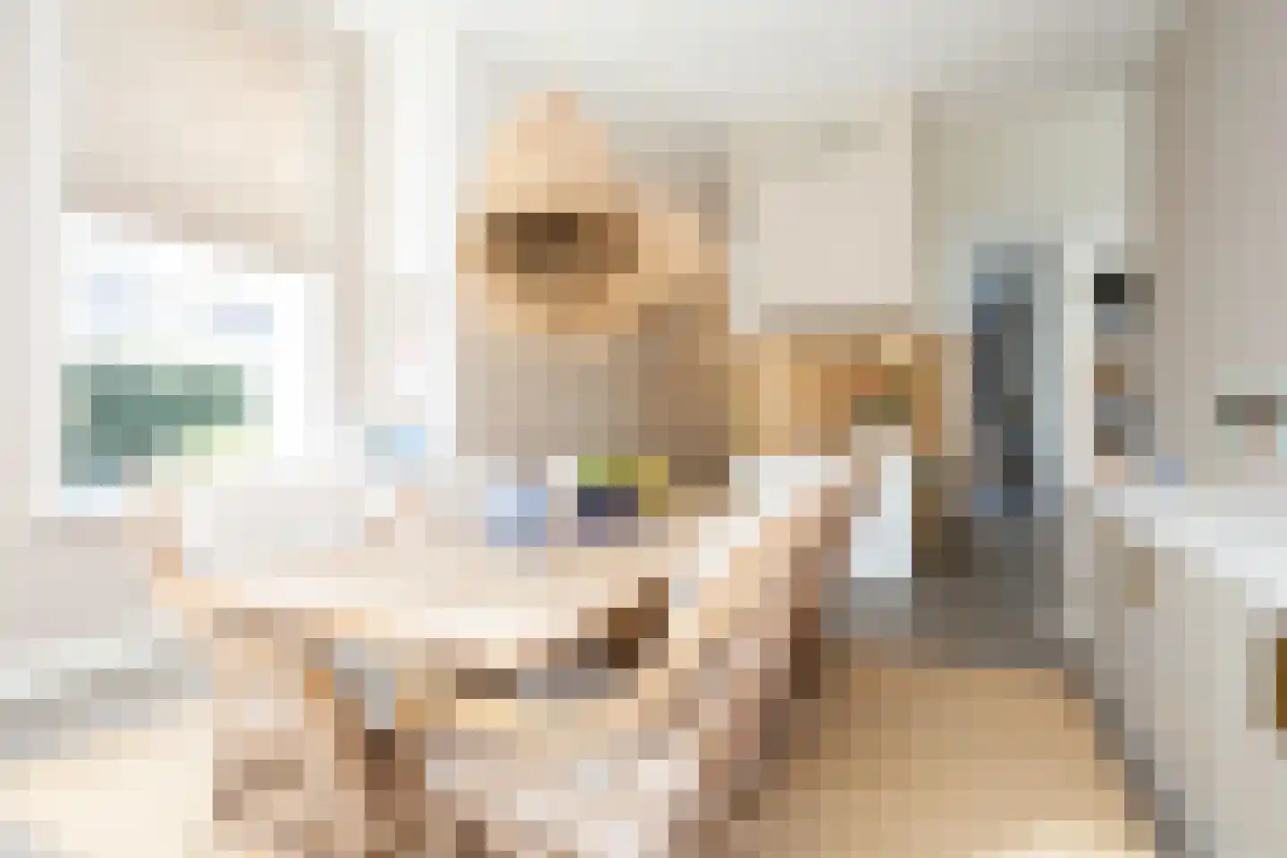Dorpsstraat 7 Krimpen aan de Lek thumbnail 37