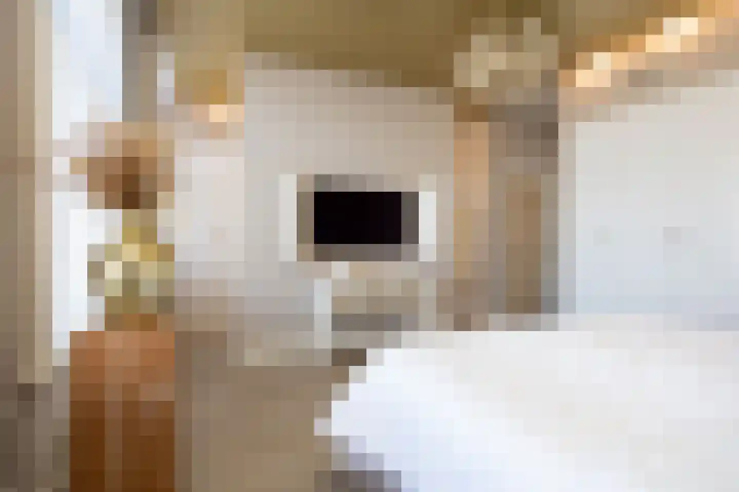 Dorpsstraat 7 Krimpen aan de Lek thumbnail 48