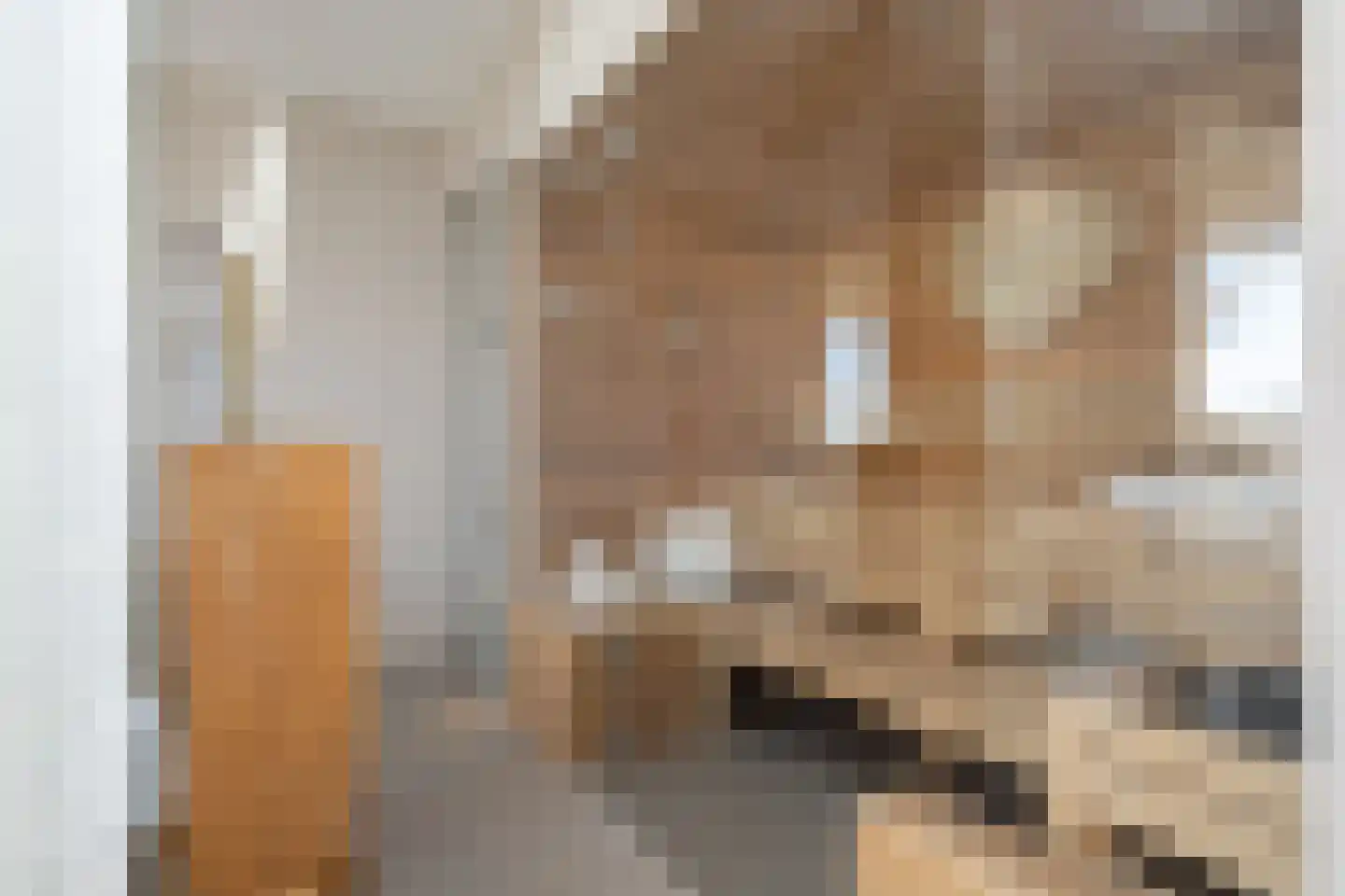 Dorpsstraat 7 Krimpen aan de Lek thumbnail 55