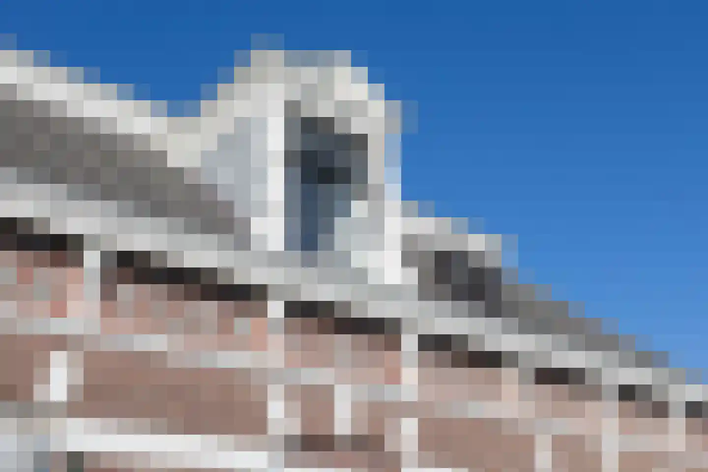 Dorpsstraat 7 Krimpen aan de Lek thumbnail 6