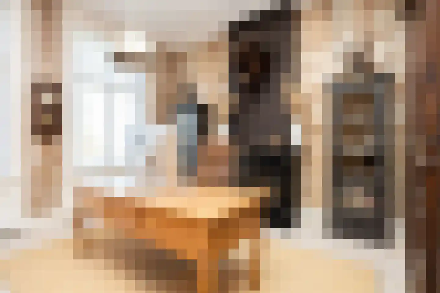 Dorpsstraat 7 Krimpen aan de Lek thumbnail 68