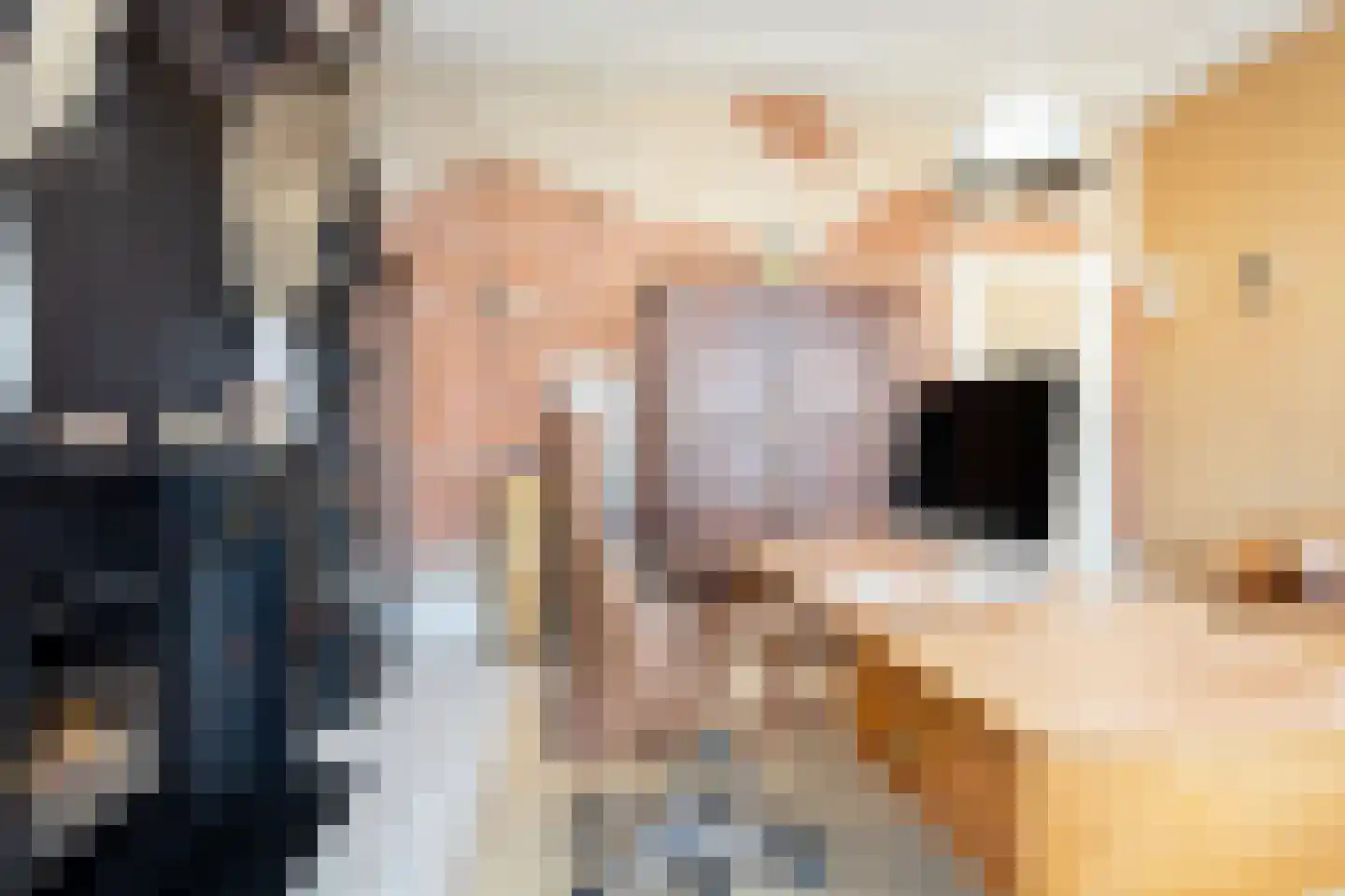 Dorpsstraat 7 Krimpen aan de Lek thumbnail 70