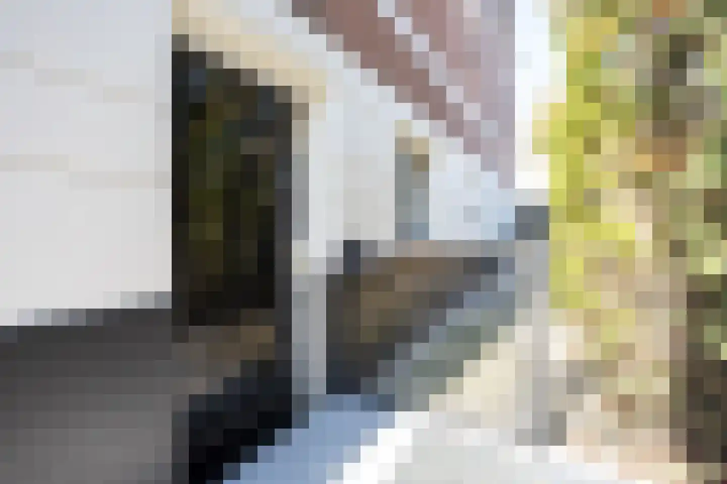 Dorpsstraat 7 Krimpen aan de Lek thumbnail 78