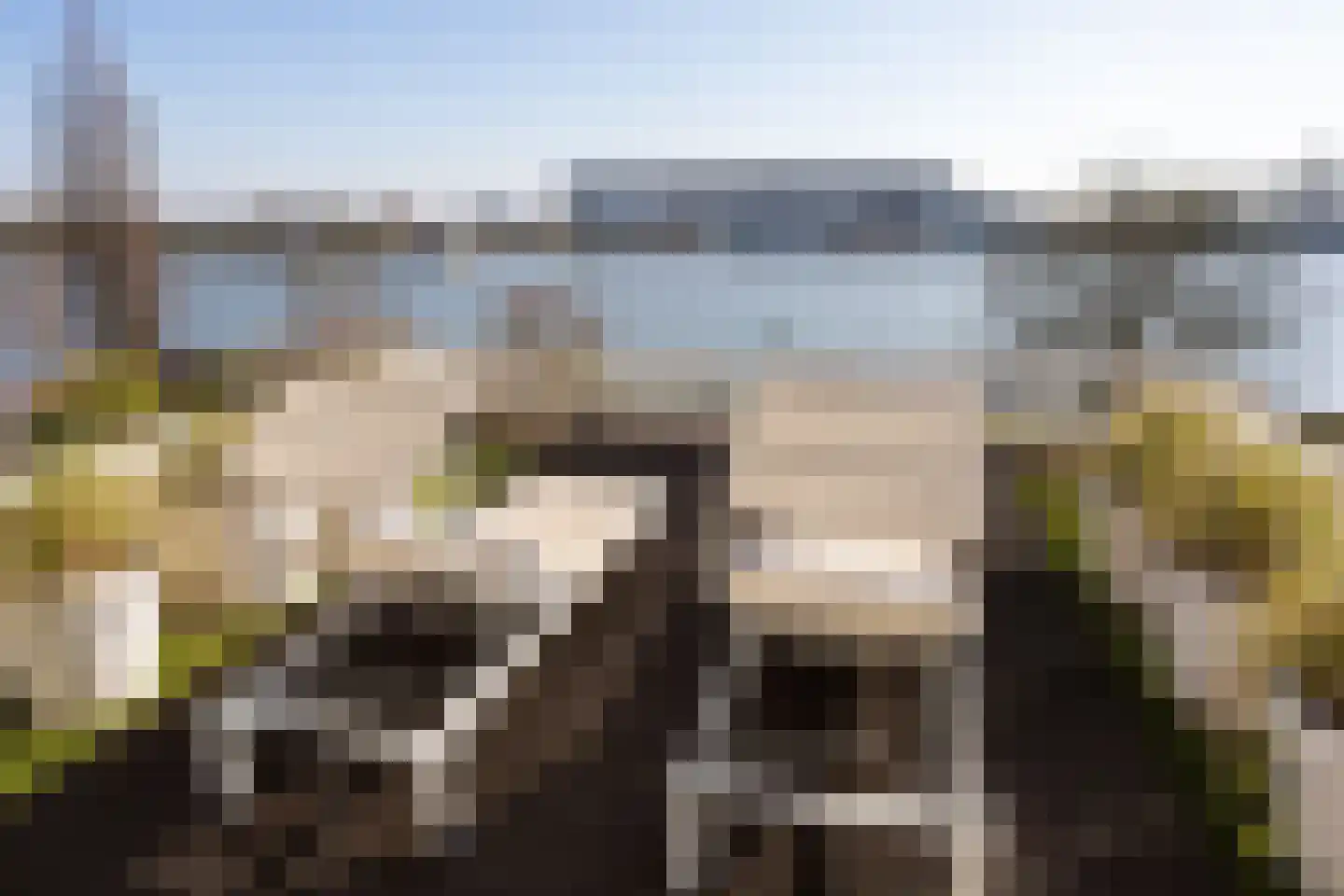 Dorpsstraat 7 Krimpen aan de Lek thumbnail 81
