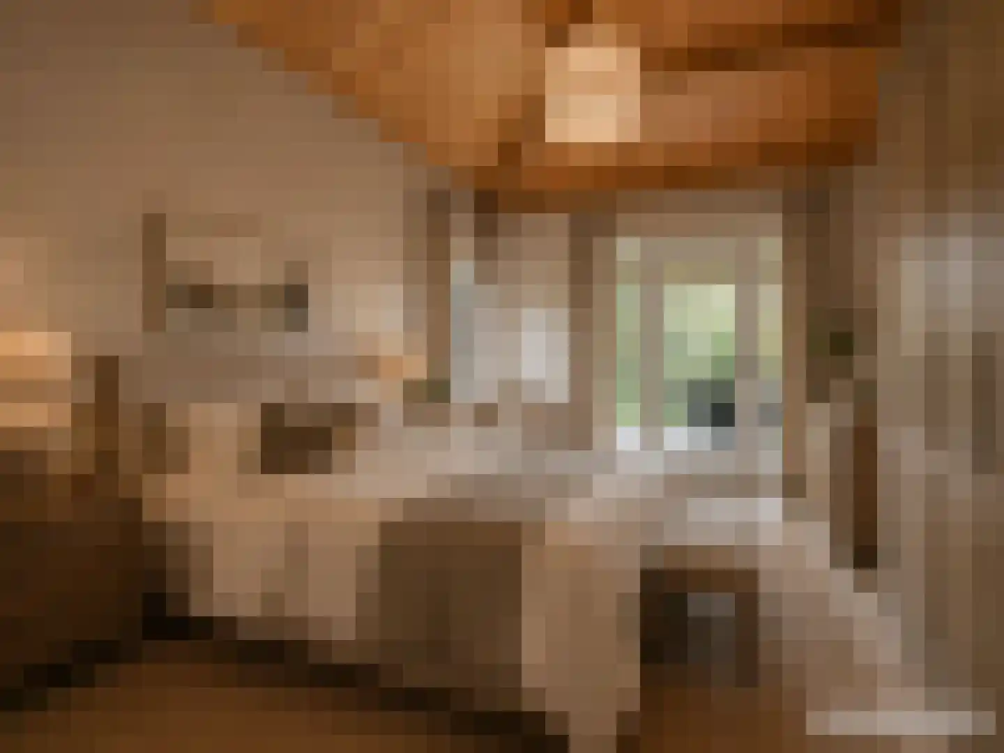Dorpsstraat 7 Lunteren thumbnail 17
