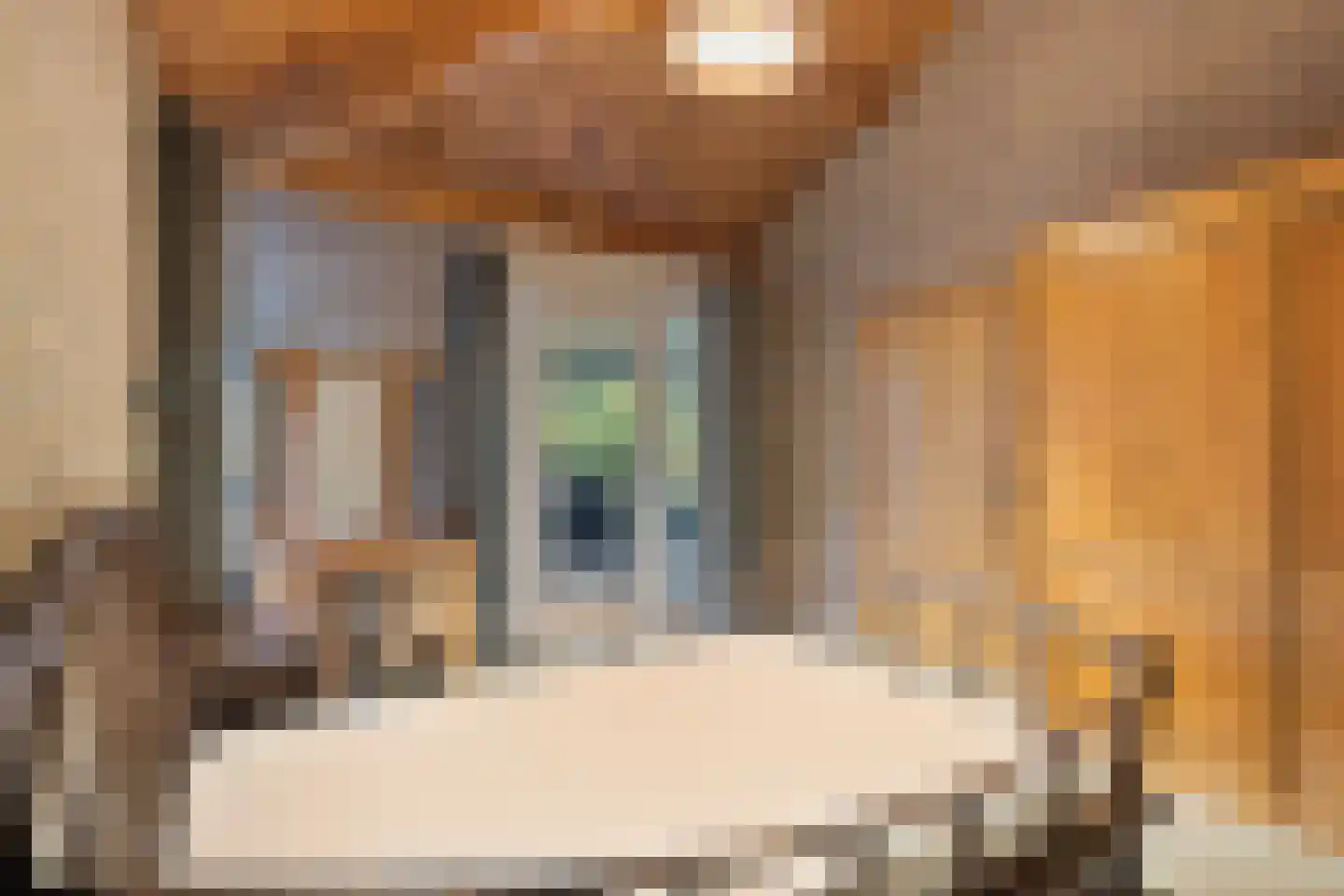 Dorpsstraat 7 Lunteren thumbnail 18