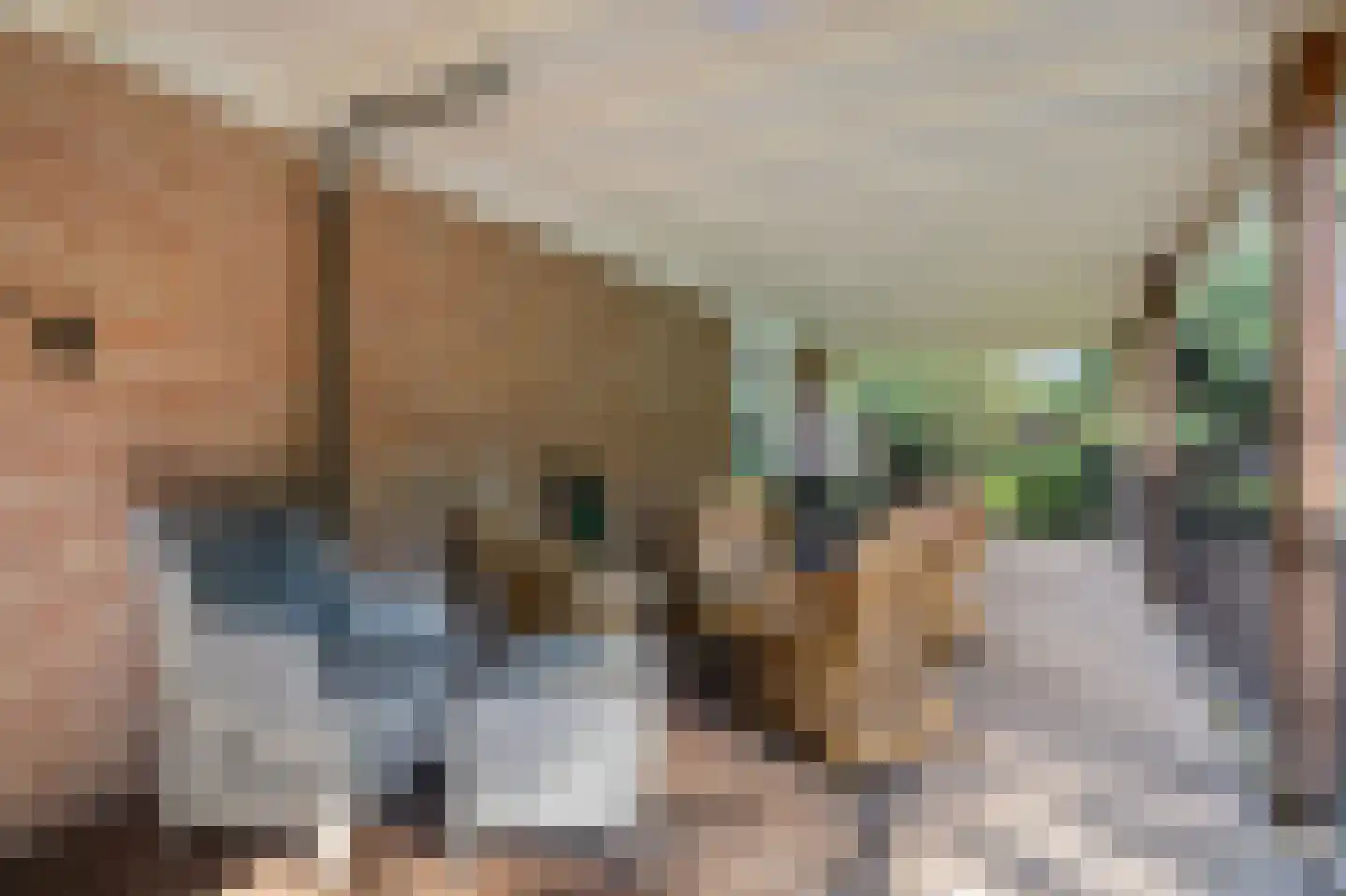 Dorpsstraat 7 Lunteren thumbnail 19