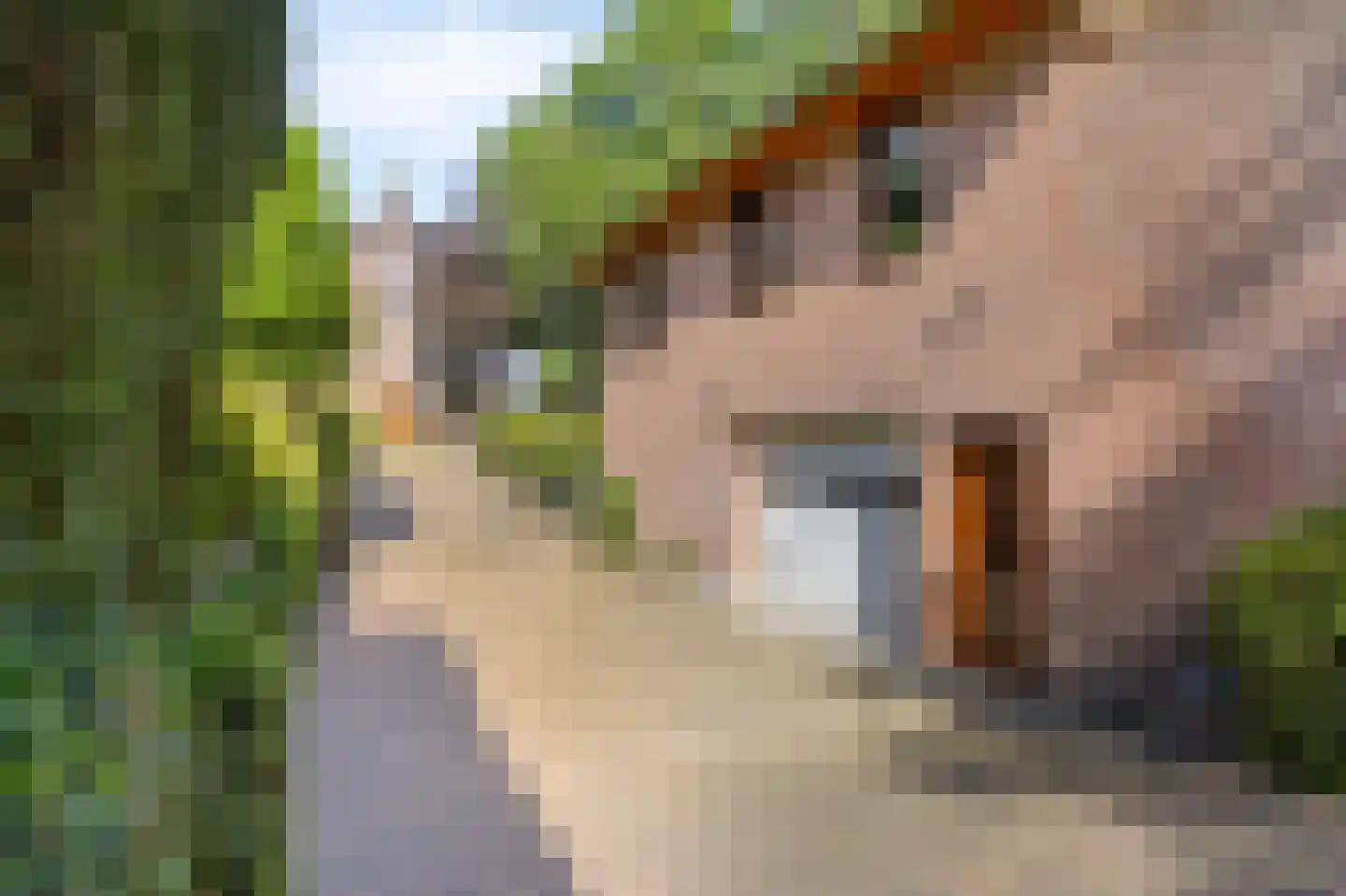 Dorpsstraat 7 Lunteren thumbnail 35