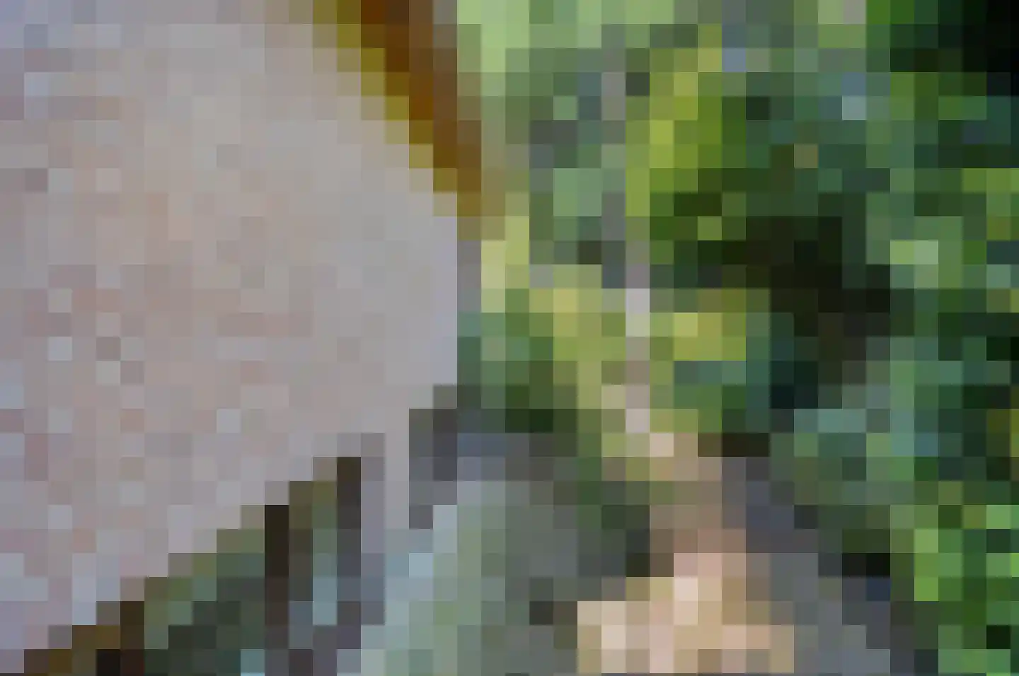 Dorpsstraat 7 Lunteren thumbnail 41