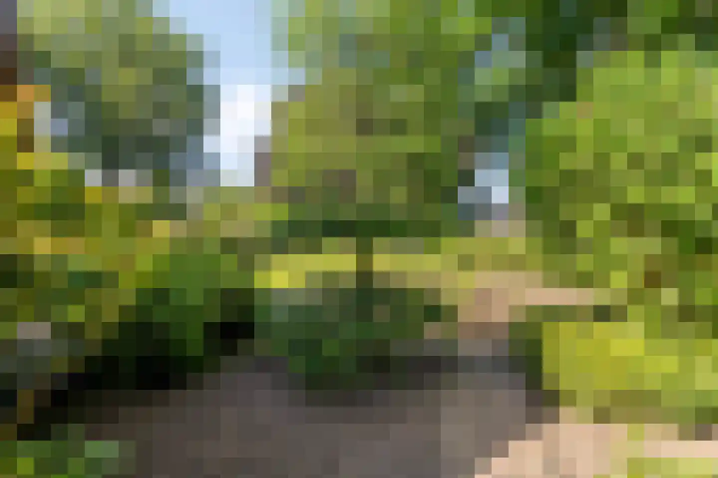 Dorpsstraat 7 Lunteren thumbnail 42