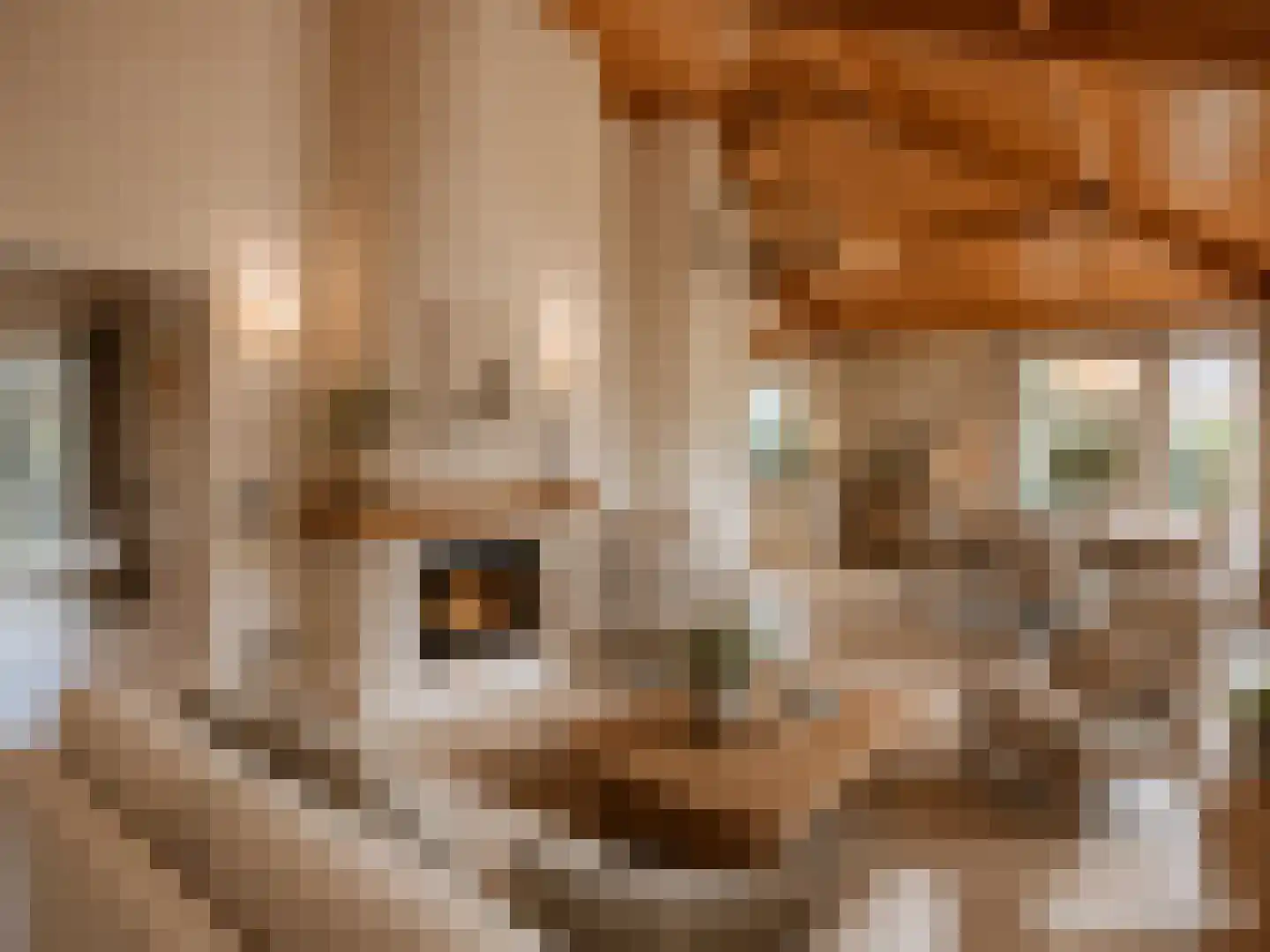 Dorpsstraat 7 Lunteren thumbnail 7