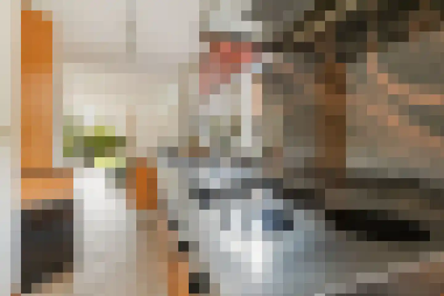 Dorpsstraat 7 Nigtevecht thumbnail 13