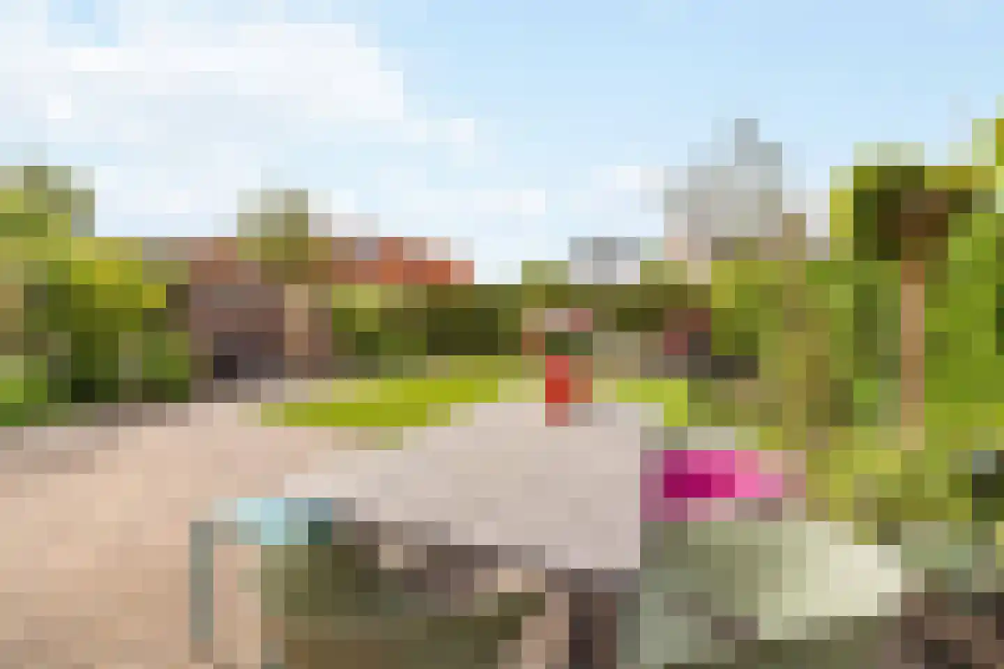 Dorpsstraat 7 Nigtevecht thumbnail 16