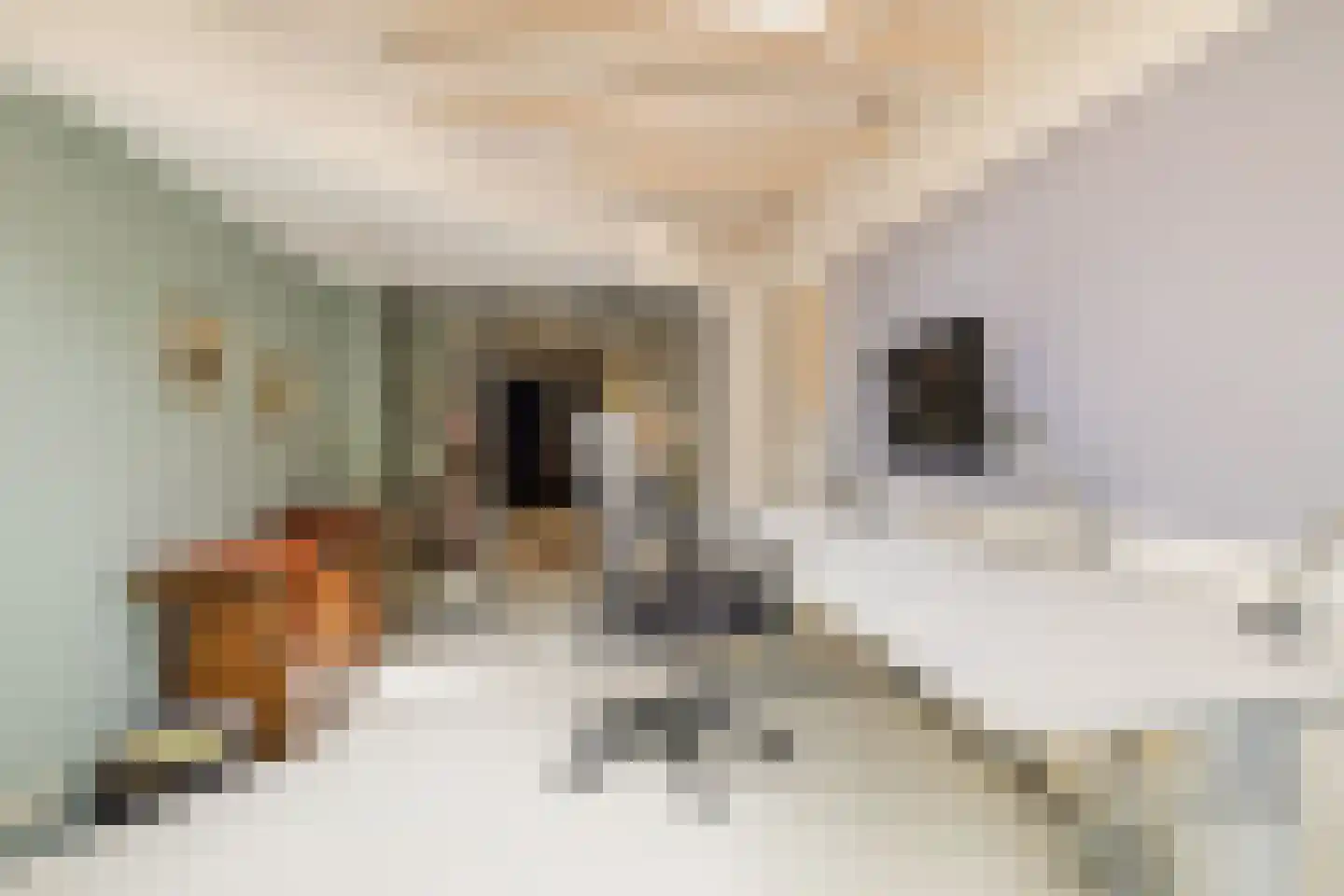 Dorpsstraat 7 Nigtevecht thumbnail 37