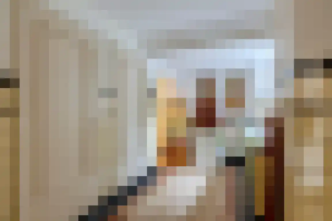Dorpsstraat 7 Ossendrecht thumbnail 13