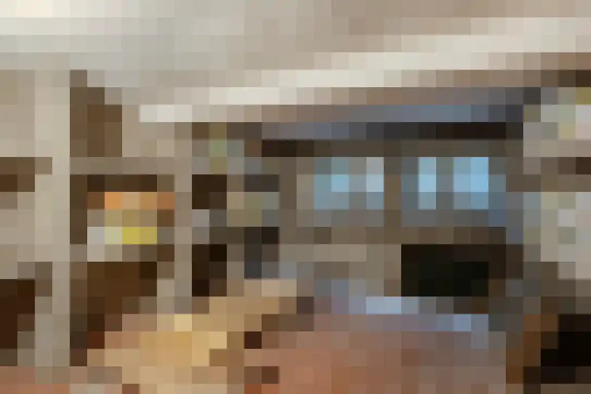 Dorpsstraat 7 Ossendrecht thumbnail 42