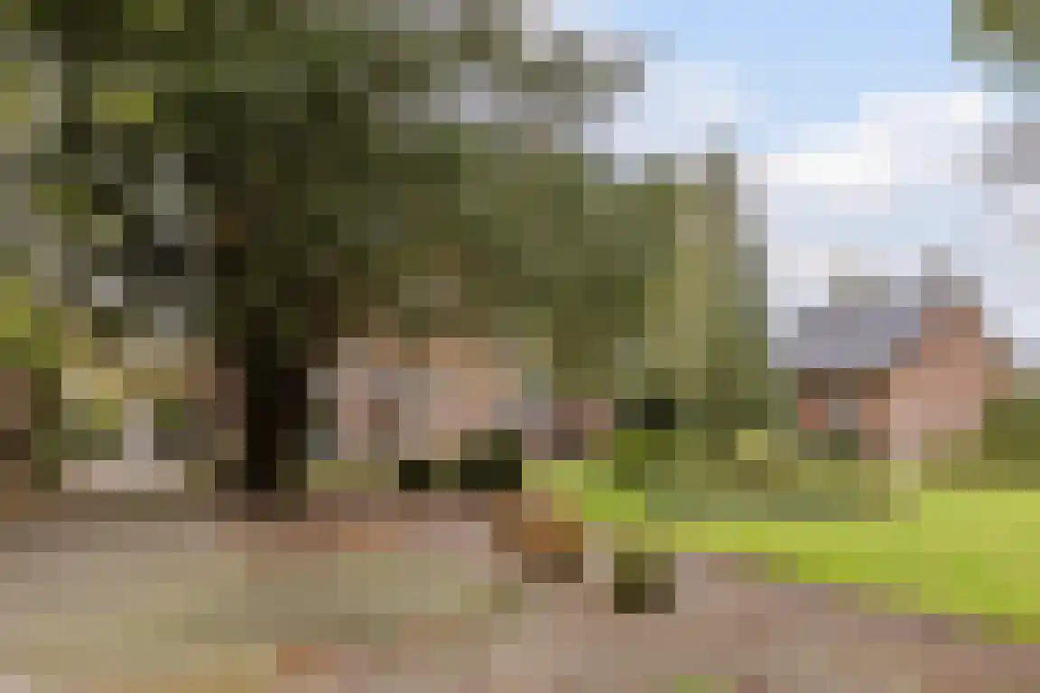 Dorpsstraat 7 Ossendrecht thumbnail 44
