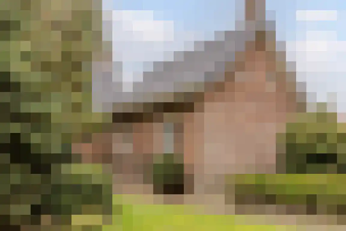 Dorpsstraat 7 Ossendrecht thumbnail 45