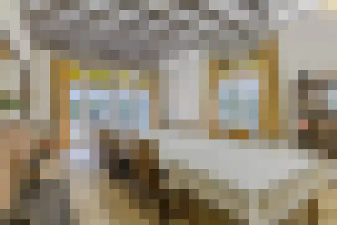 Dorpsstraat 7 Ossendrecht thumbnail 6