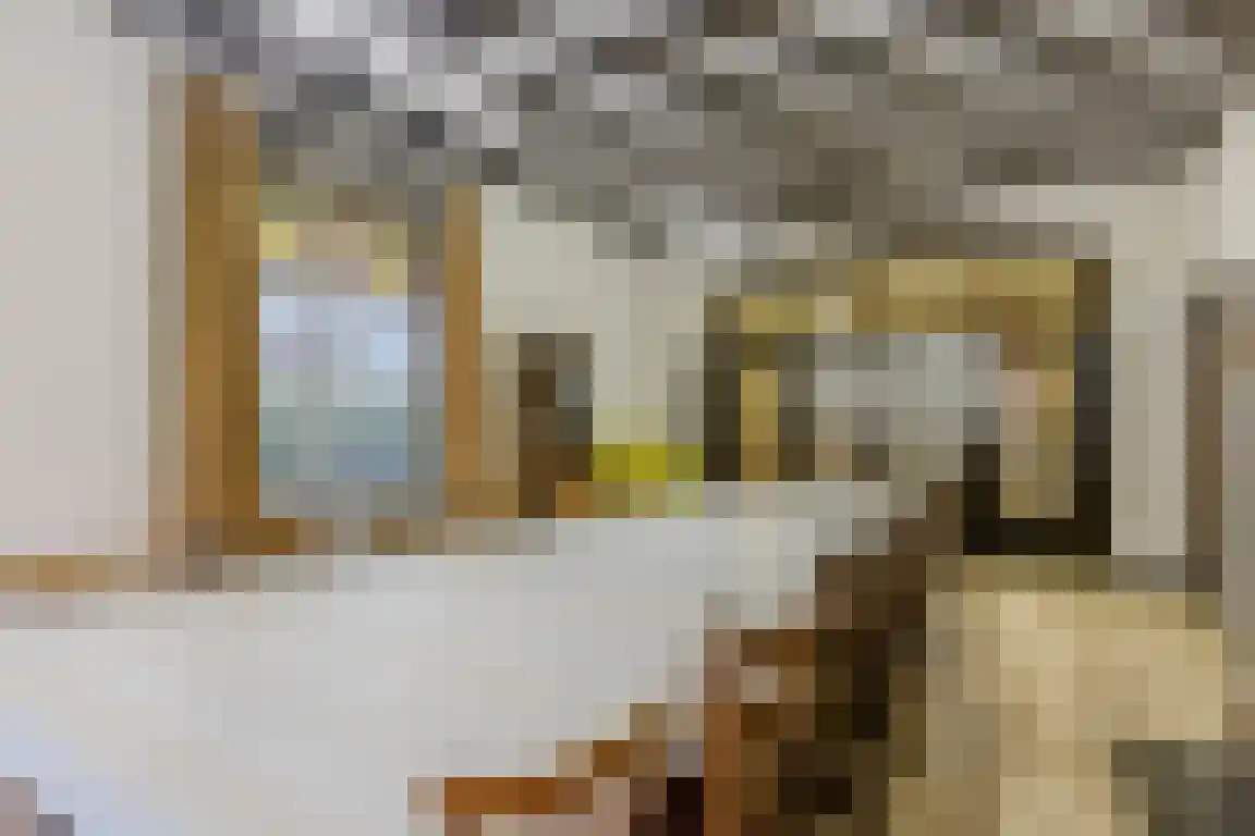Dorpsstraat 7 Ossendrecht thumbnail 7