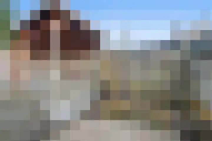 Dorpsstraat 7 Oterleek thumbnail 36