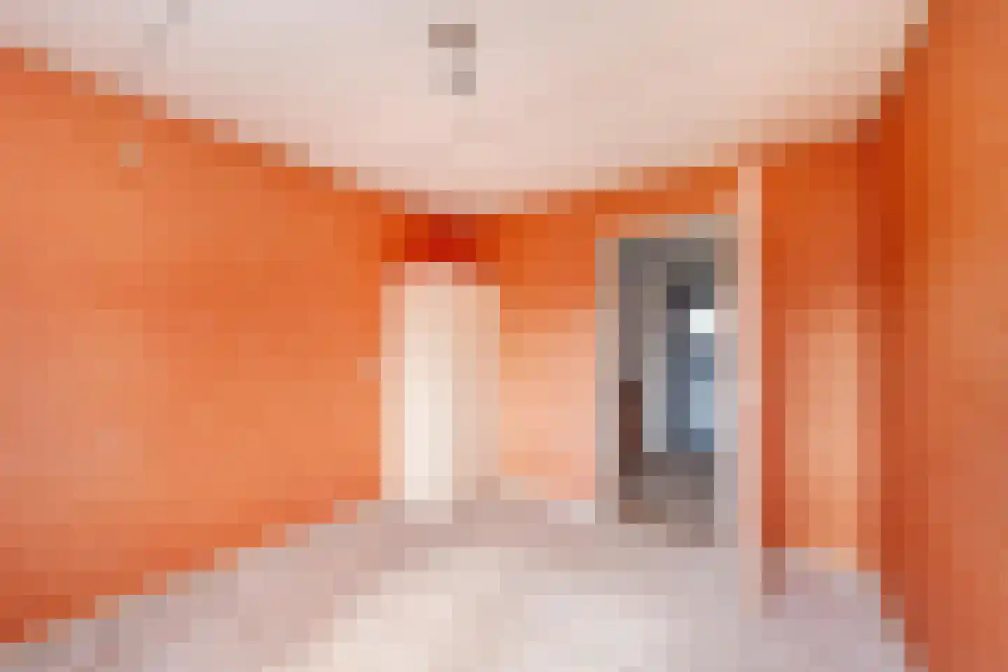 Dorpsstraat 7 Oud Zuilen thumbnail 17