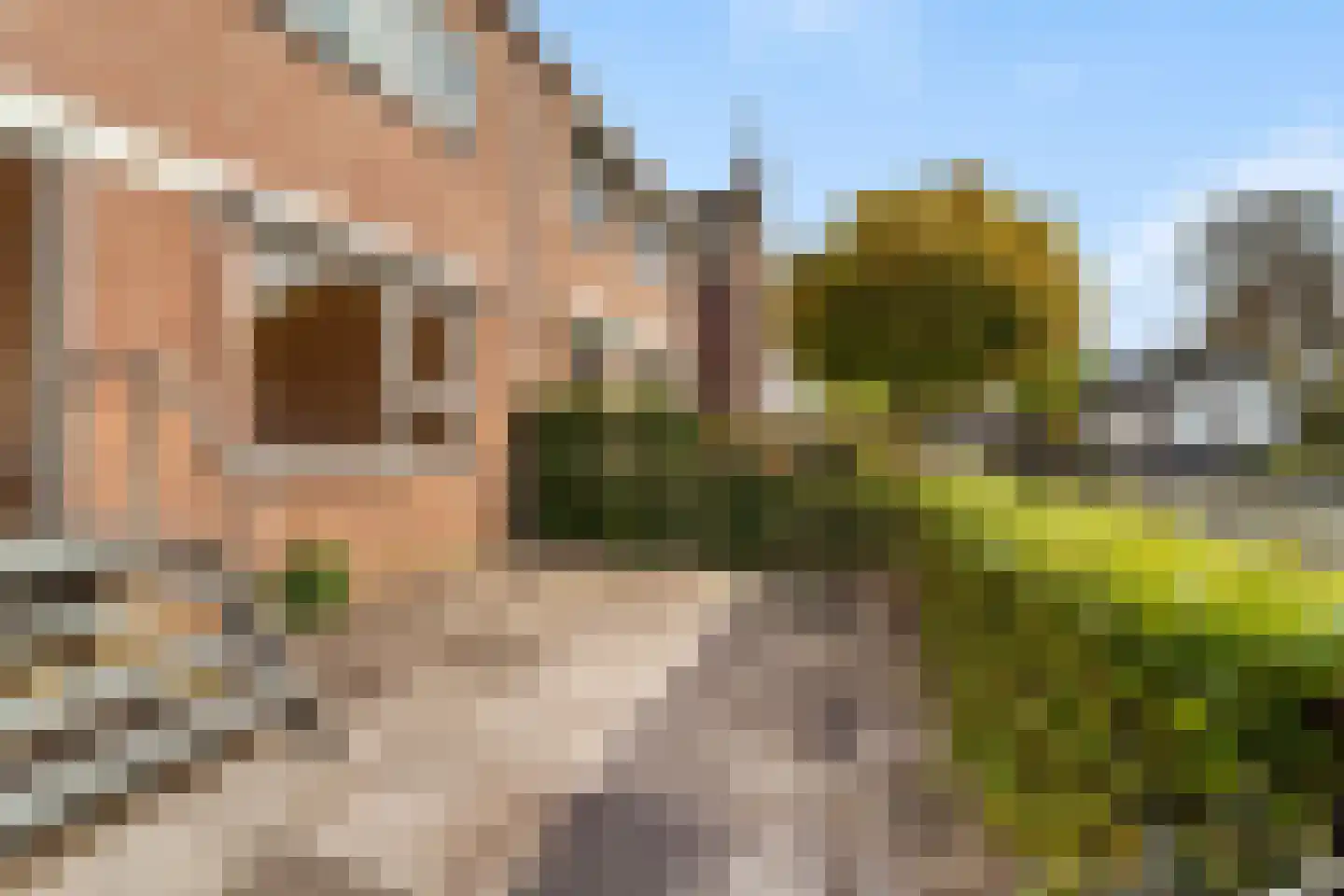 Dorpsstraat 7 Oud Zuilen thumbnail 9