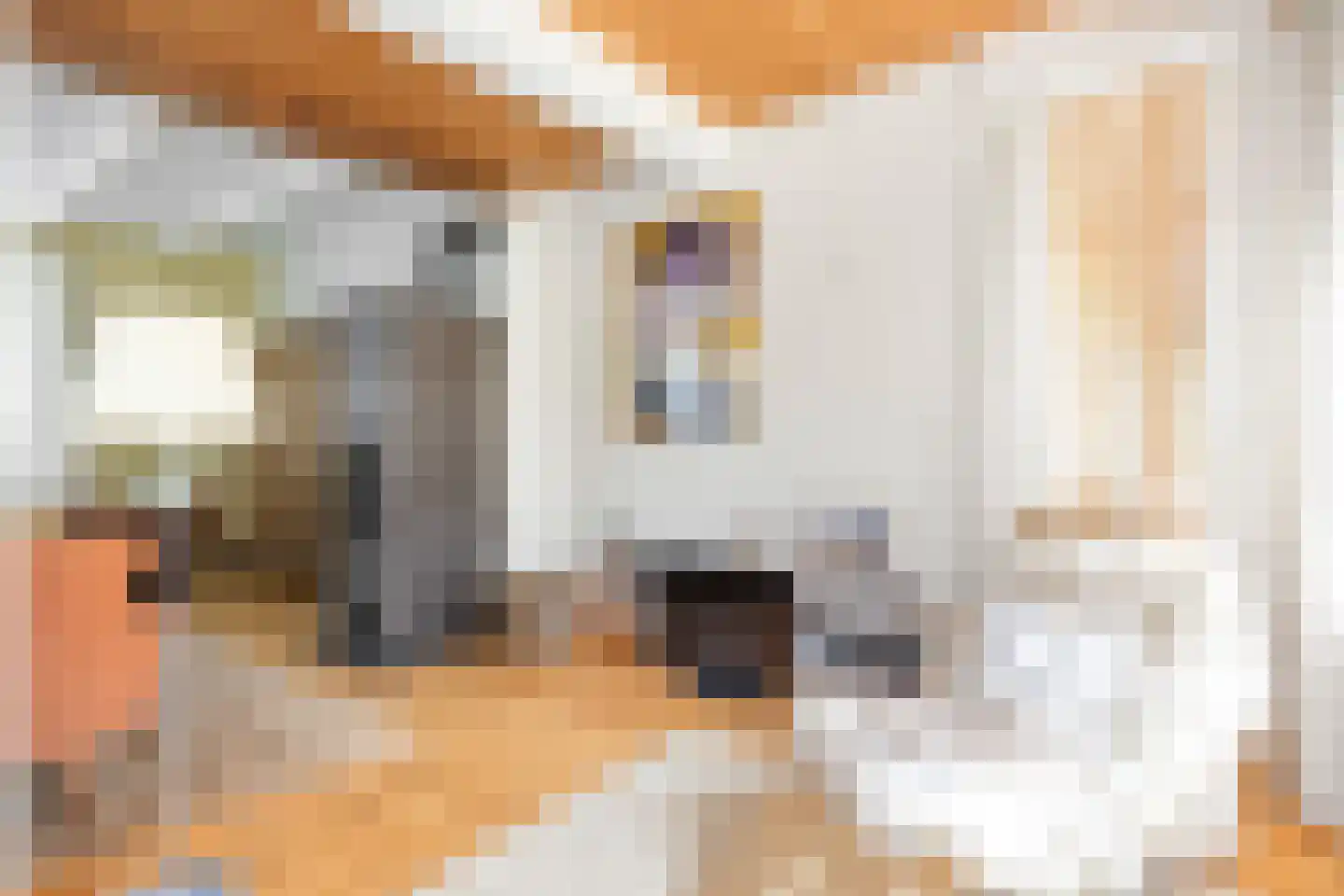 Dorpsstraat 7 Saaxumhuizen thumbnail 15