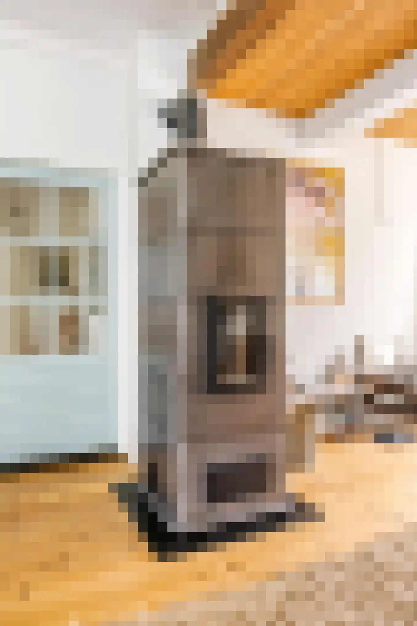 Dorpsstraat 7 Saaxumhuizen thumbnail 17