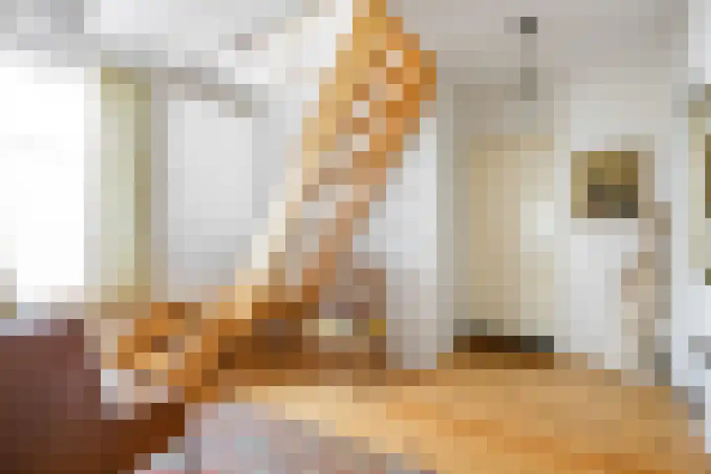 Dorpsstraat 7 Saaxumhuizen thumbnail 19
