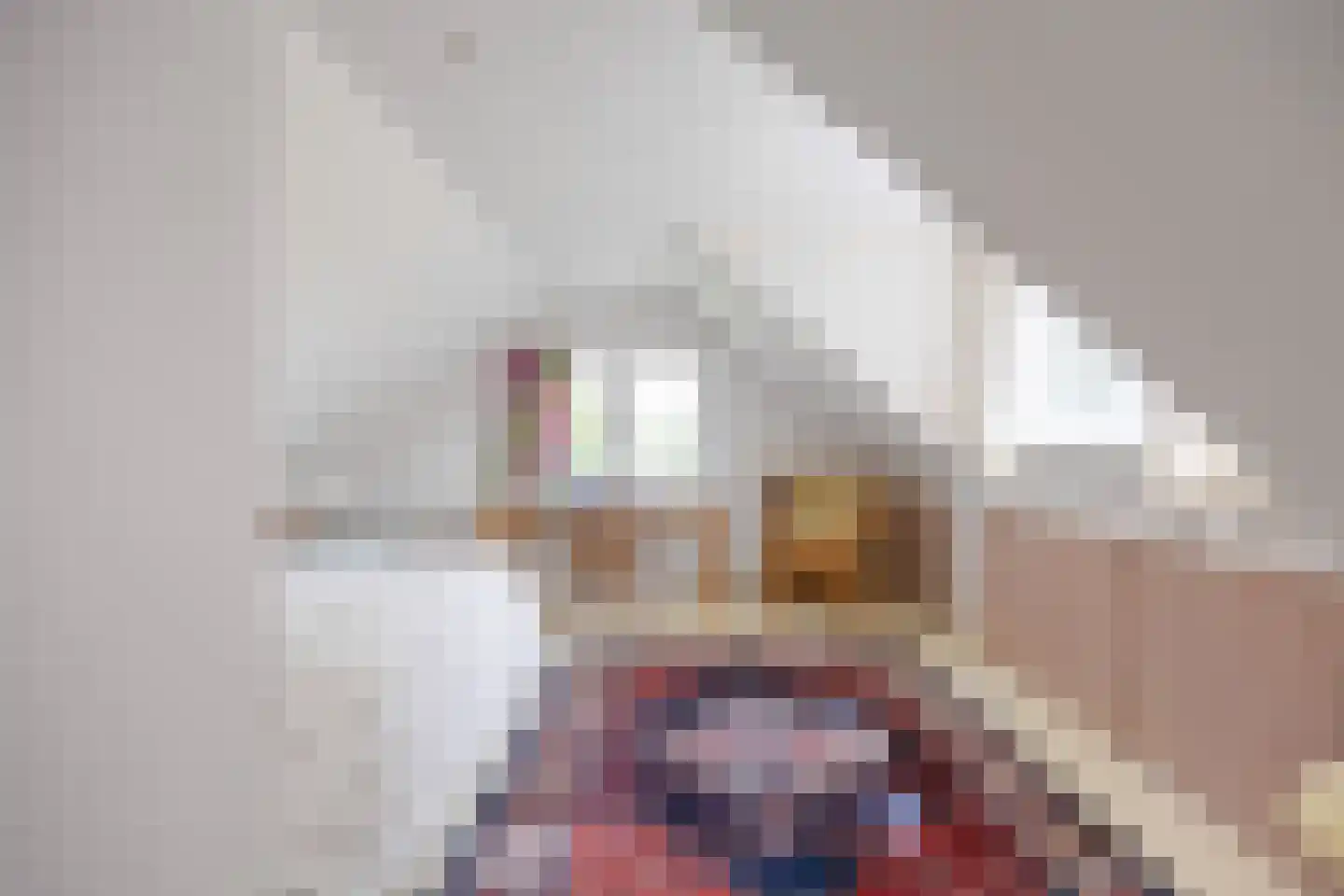 Dorpsstraat 7 Saaxumhuizen thumbnail 20