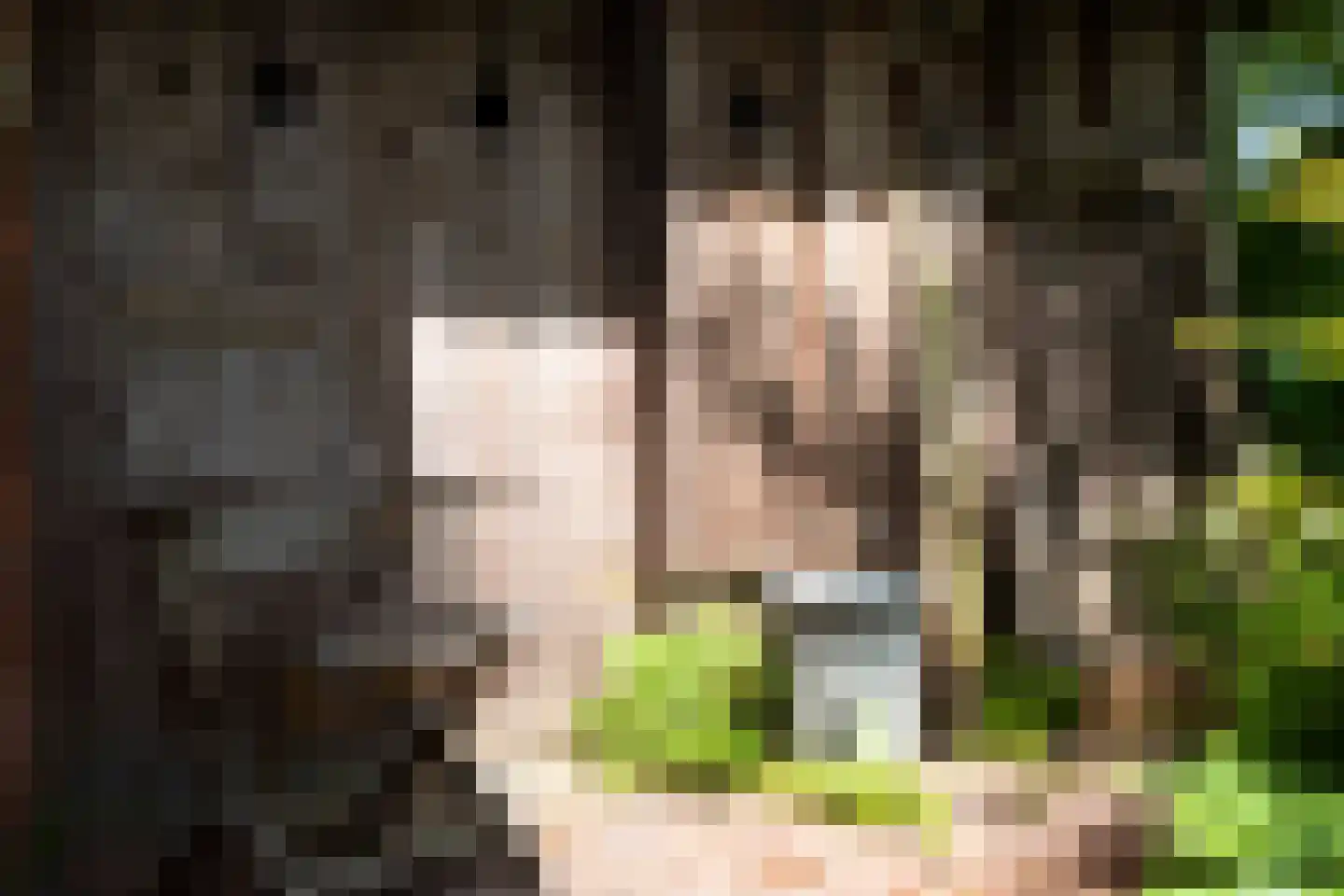 Dorpsstraat 7 Saaxumhuizen thumbnail 31