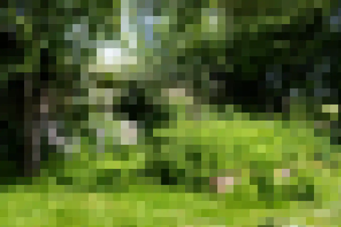 Dorpsstraat 7 Saaxumhuizen thumbnail 32
