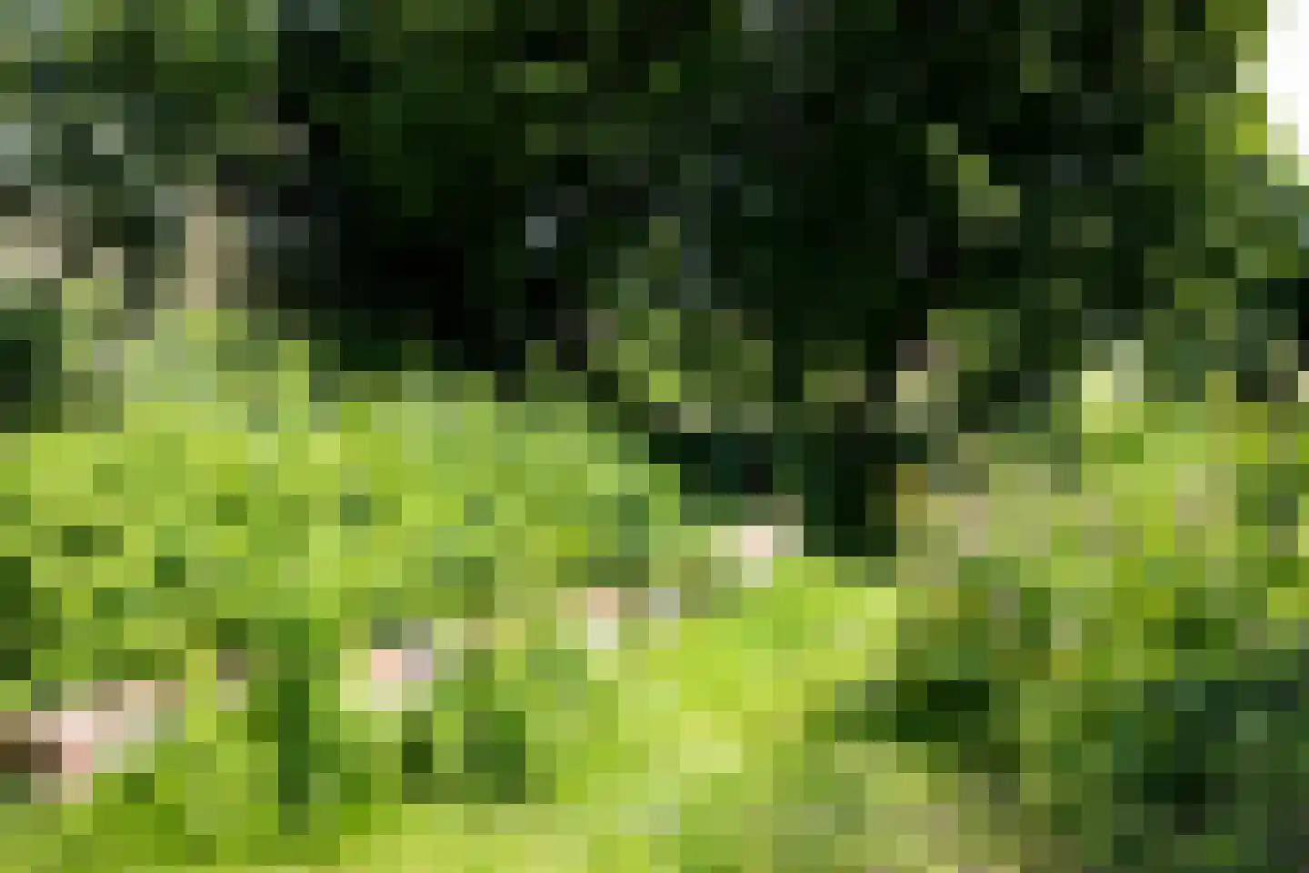 Dorpsstraat 7 Saaxumhuizen thumbnail 33