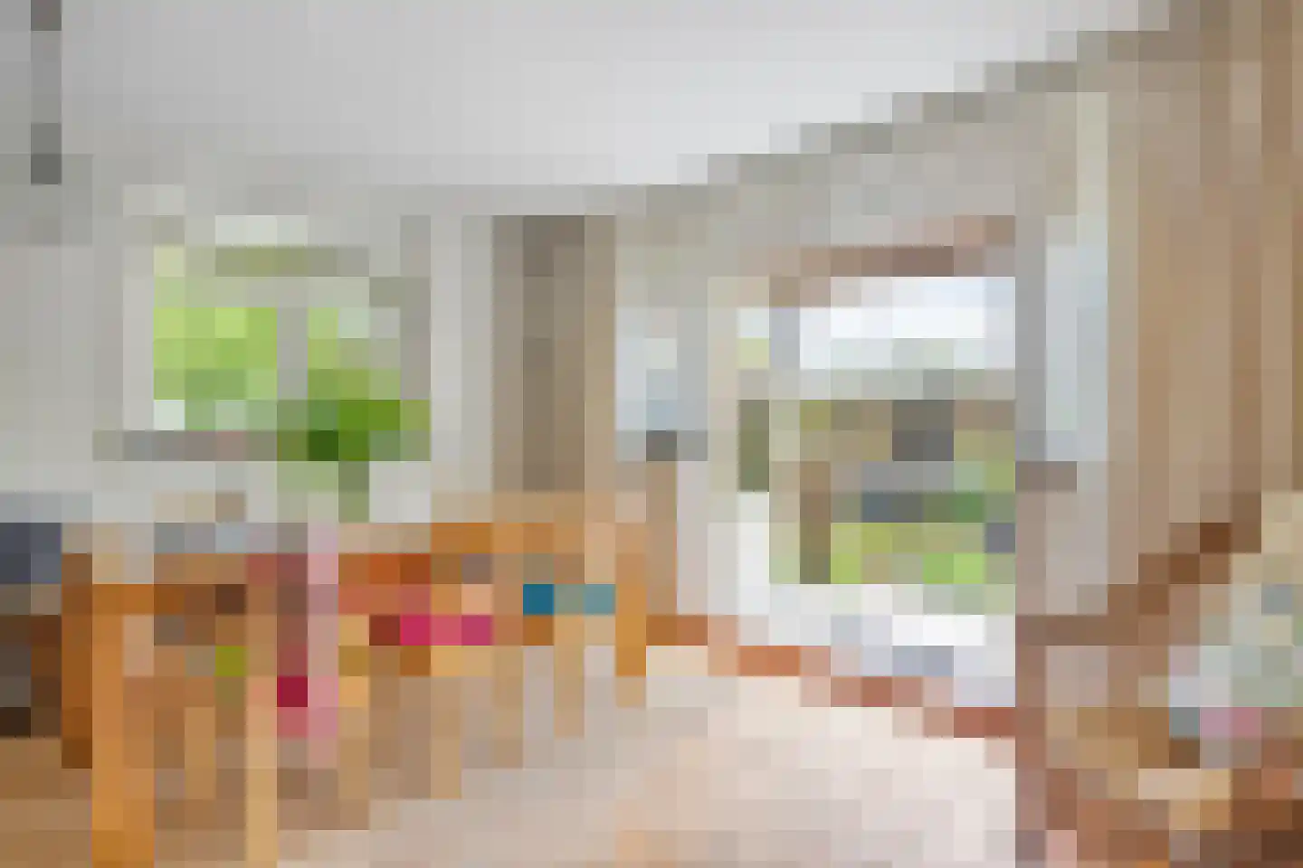 Dorpsstraat 7 Saaxumhuizen thumbnail 34