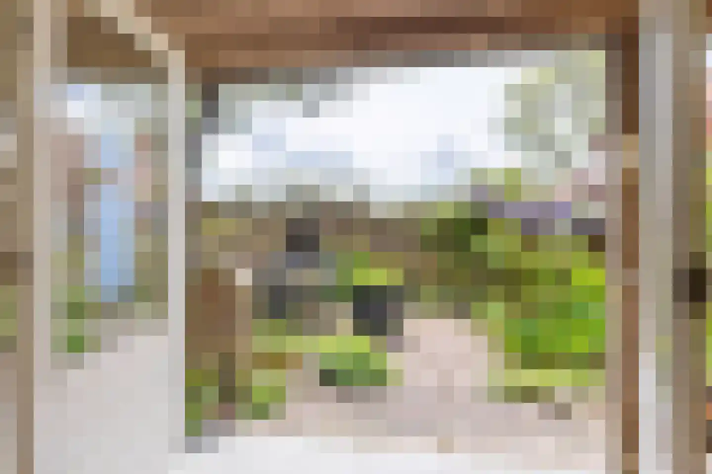 Dorpsstraat 7 Saaxumhuizen thumbnail 35