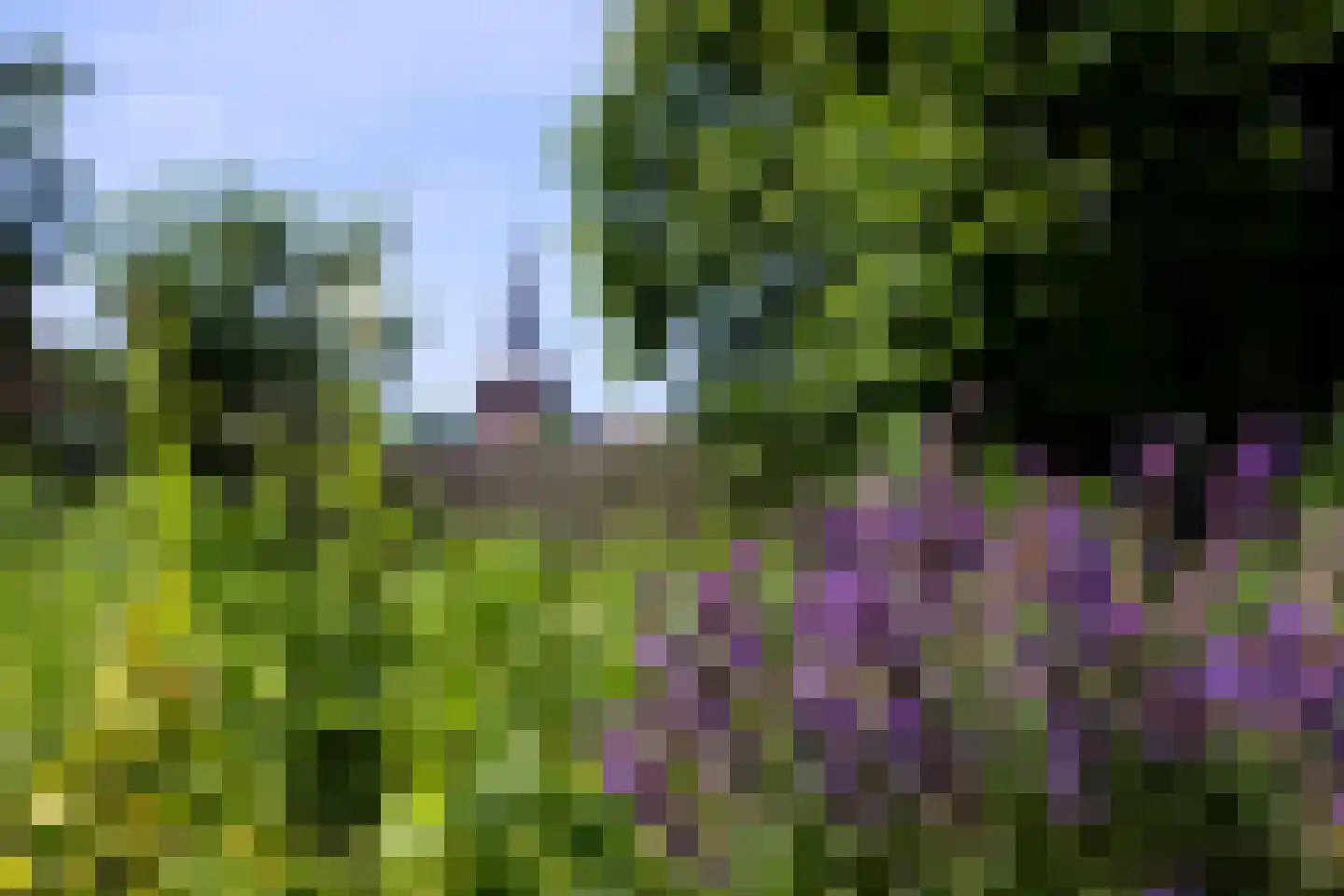 Dorpsstraat 7 Saaxumhuizen thumbnail 35