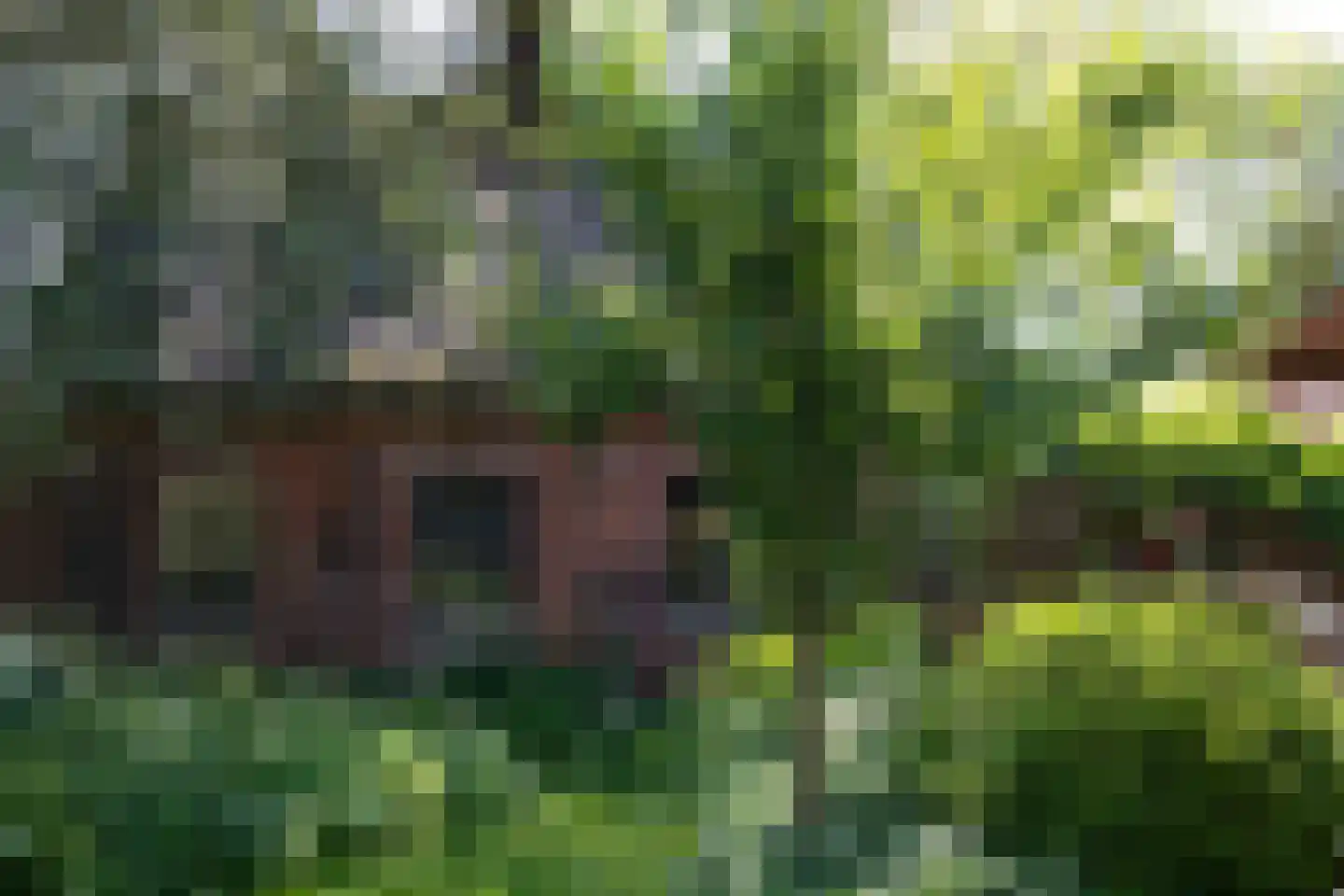 Dorpsstraat 7 Saaxumhuizen thumbnail 36