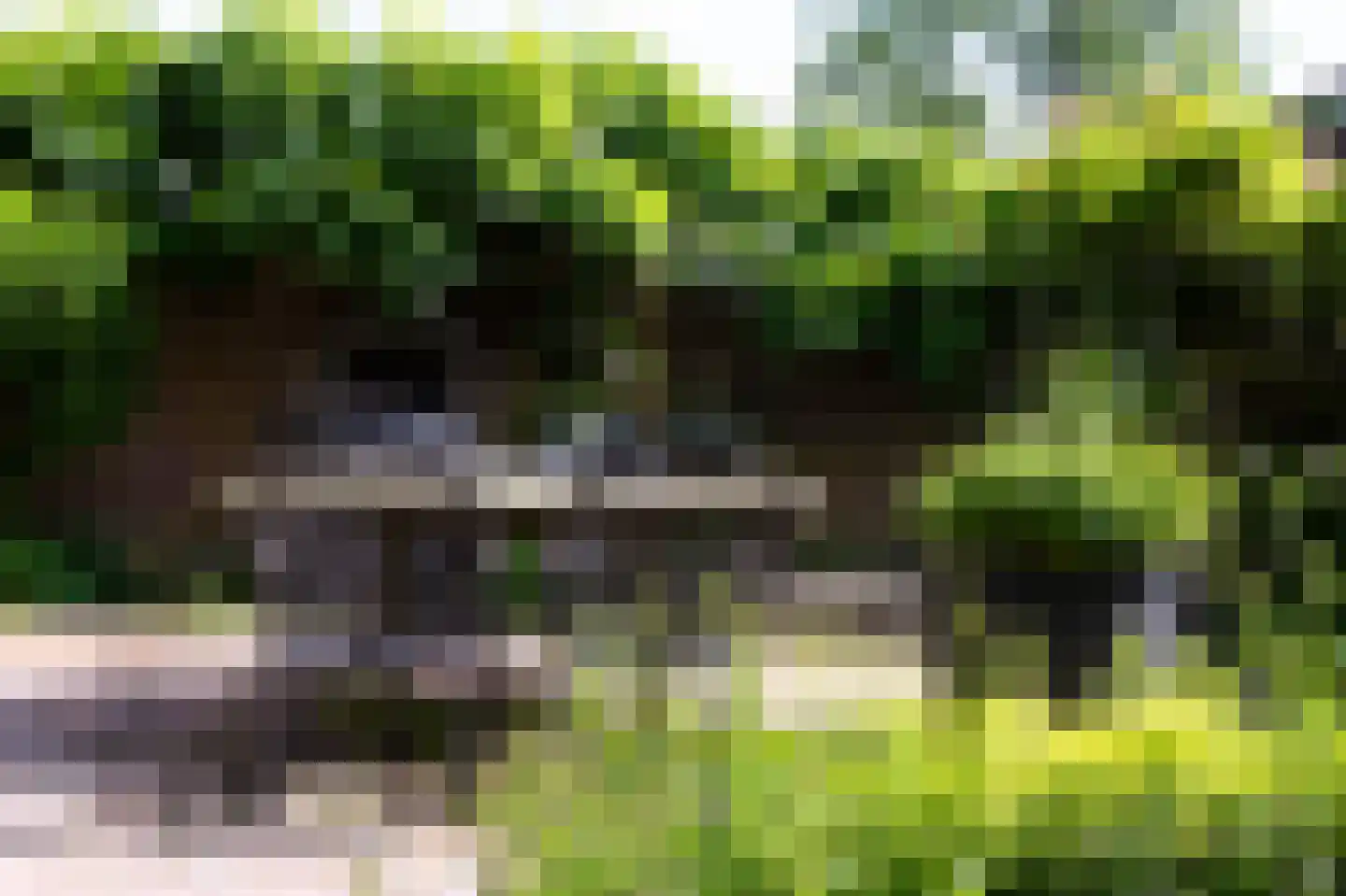 Dorpsstraat 7 Saaxumhuizen thumbnail 39