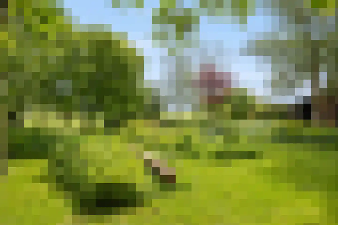 Dorpsstraat 7 Saaxumhuizen thumbnail 4