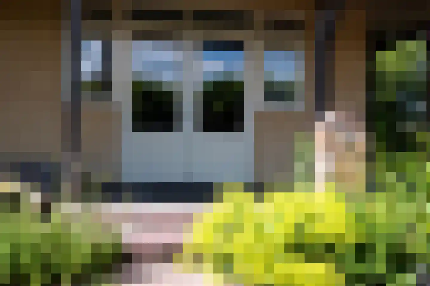 Dorpsstraat 7 Saaxumhuizen thumbnail 40