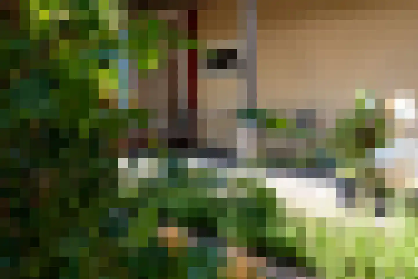 Dorpsstraat 7 Saaxumhuizen thumbnail 42