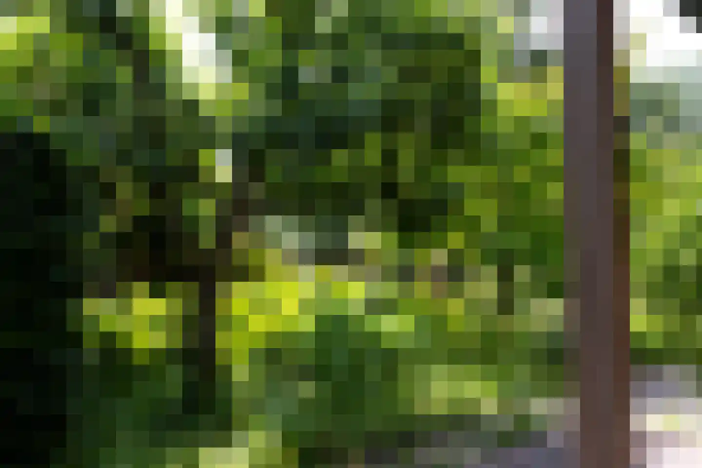Dorpsstraat 7 Saaxumhuizen thumbnail 43